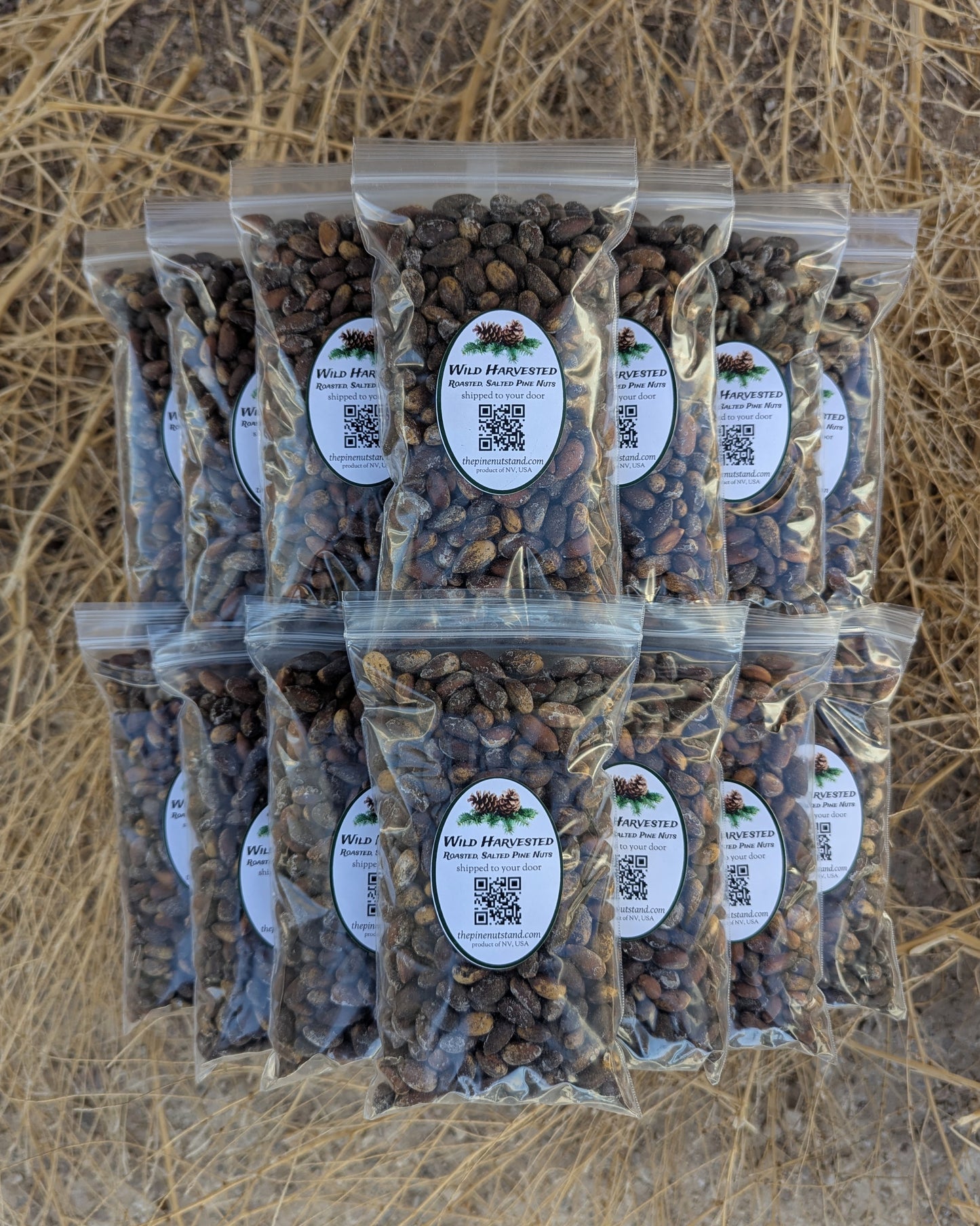 ten pounds (10lbs) single packs half pound bags of roasted salted utah nevada pine nuts, colorado pine nuts, arizona pine nuts, nevada pine nuts, california pine nuts, in bulk quantity shipped to all fifty states and local pickup (pinenut, pinenuts, pinus monophylla) wild harvested pinyon pine nuts
