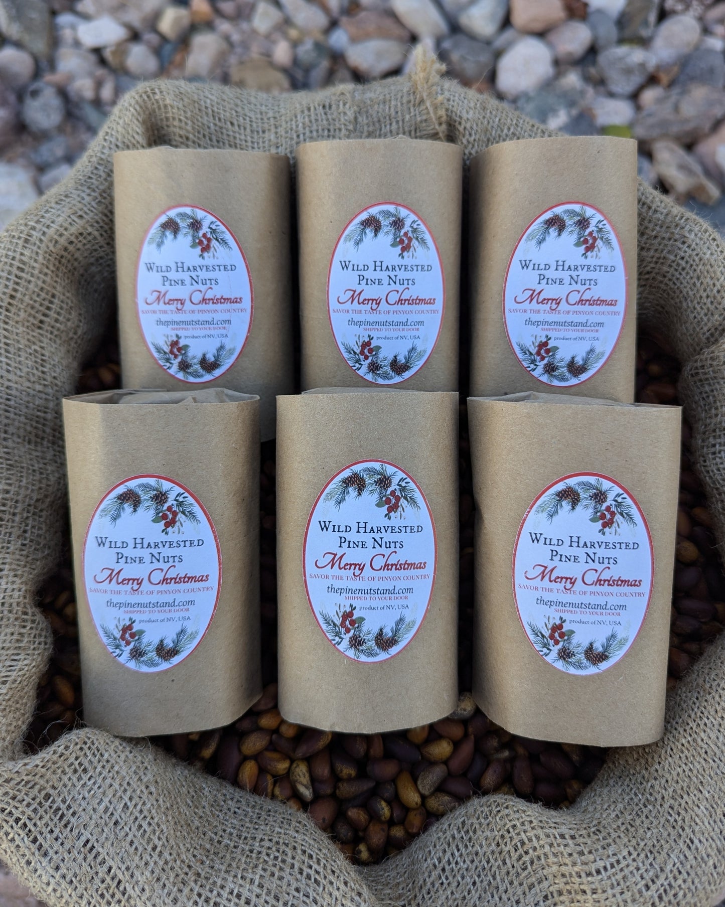 six stocking stuffer packs raw softshell soft shell pine nuts, pinus monophylla, jumbo raw pine nuts, pinenuts, utah, arizona, colorado, nevada, idaho, california pinyon pine nuts, 2024 holiday christmas presents stocking stuffers
