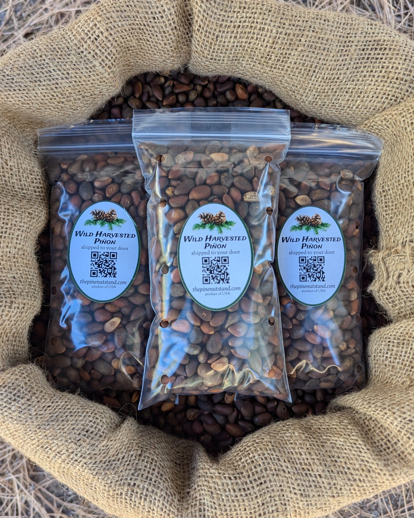 one and a half pounds (1.5lbs) single packs 8oz bags of raw utah pinon, colorado pinyon, arizona pinon, new mexico pinon in bulk 50 pound burlap bag (pinion, piñon, pinyon, pinus edulis) wild harvested piñon