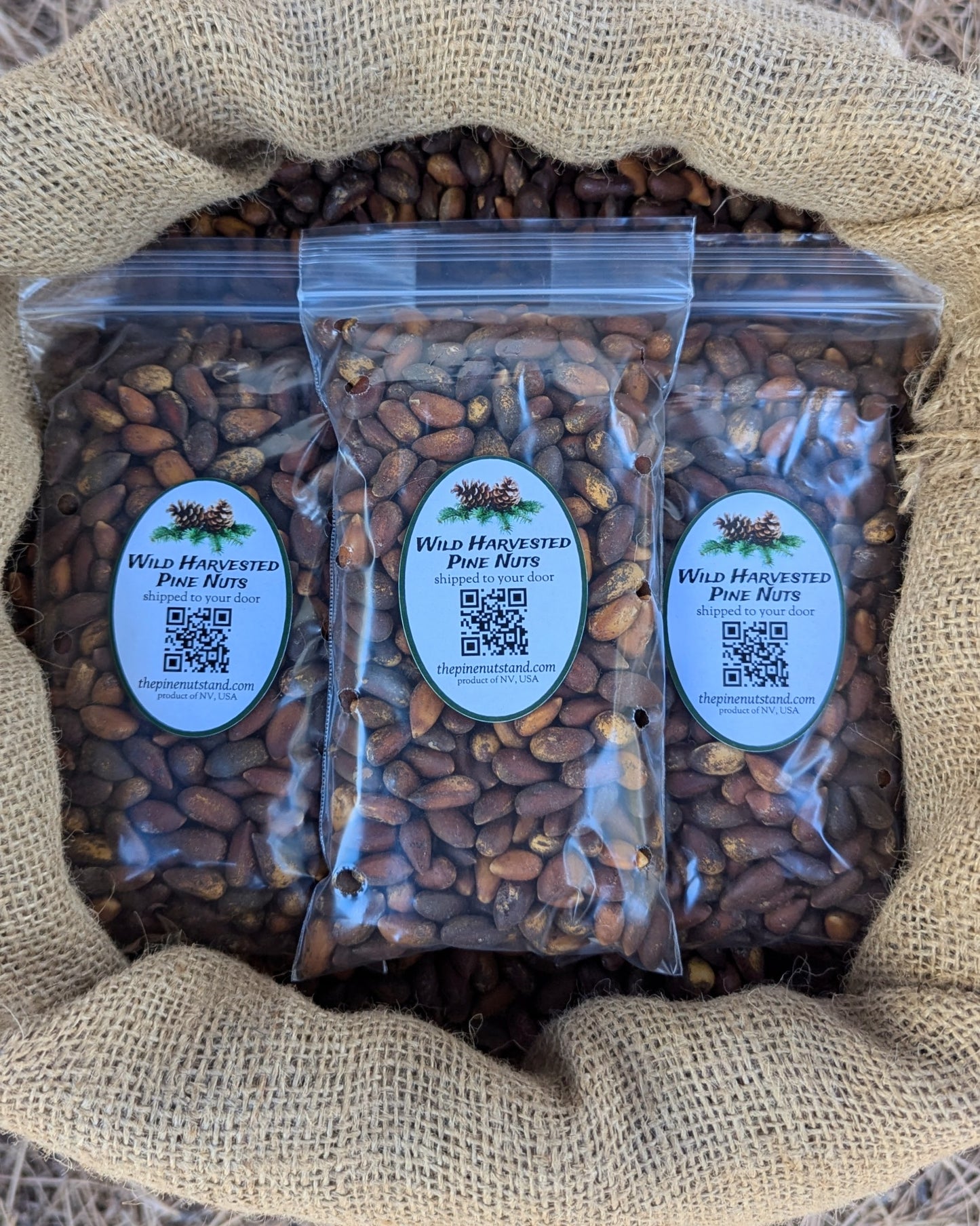 one and a half pounds (1.5lbs) single packs 8oz bags of raw utah pine nut, colorado pine nuts, arizona pinenut, nevada pinenuts, california pine nuts in bulk 50 pound burlap bag (pinenut, pinenuts, pinus monophylla) wild harvested pine nuts