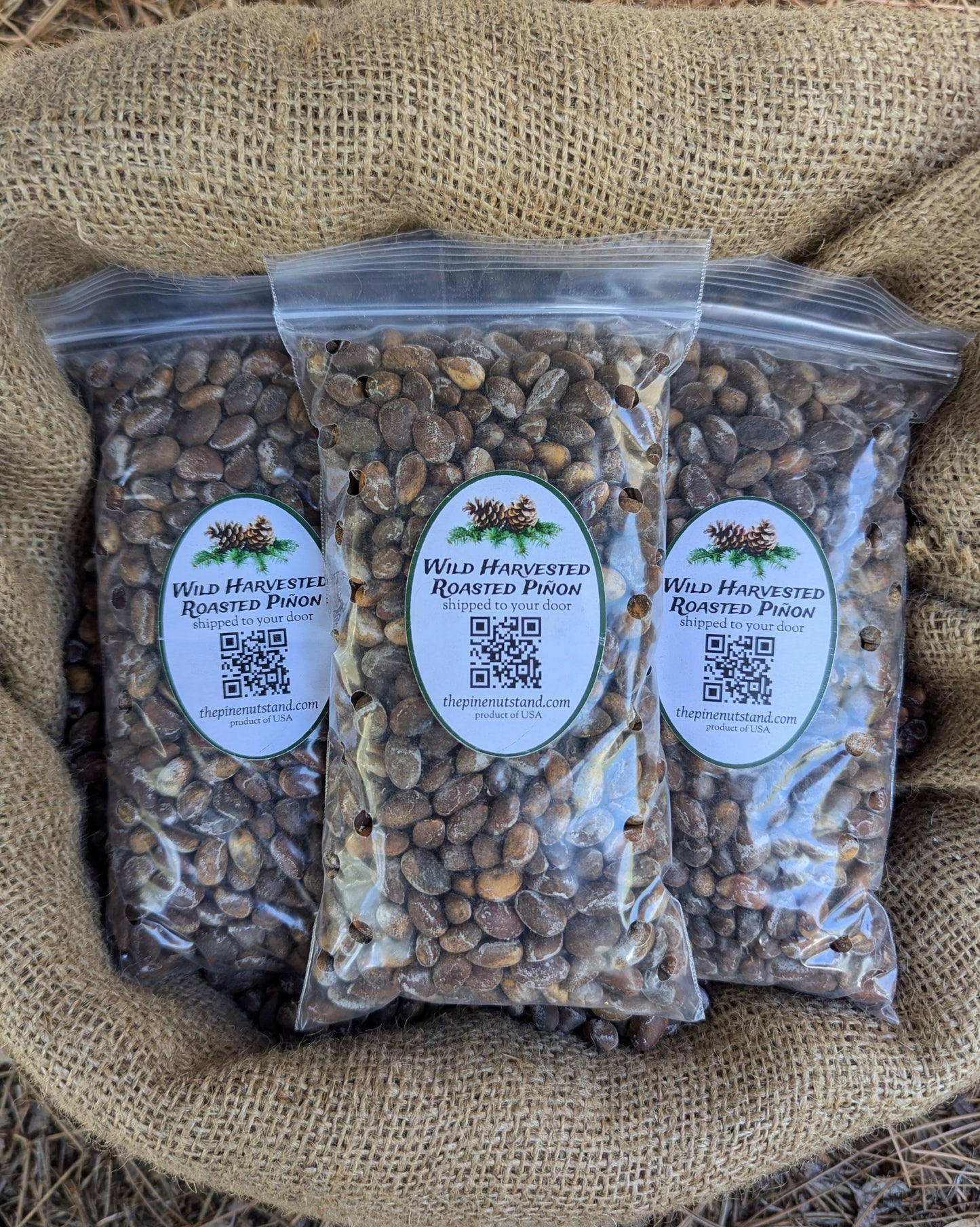 one and a half pounds (1.5lbs) single packs 8oz bags of roasted utah pinon, colorado pinyon, arizona pinon, new mexico pinon in bulk 50 pound burlap bag (pinion, piñon, pinyon, pinus edulis) wild harvested roasted piñon