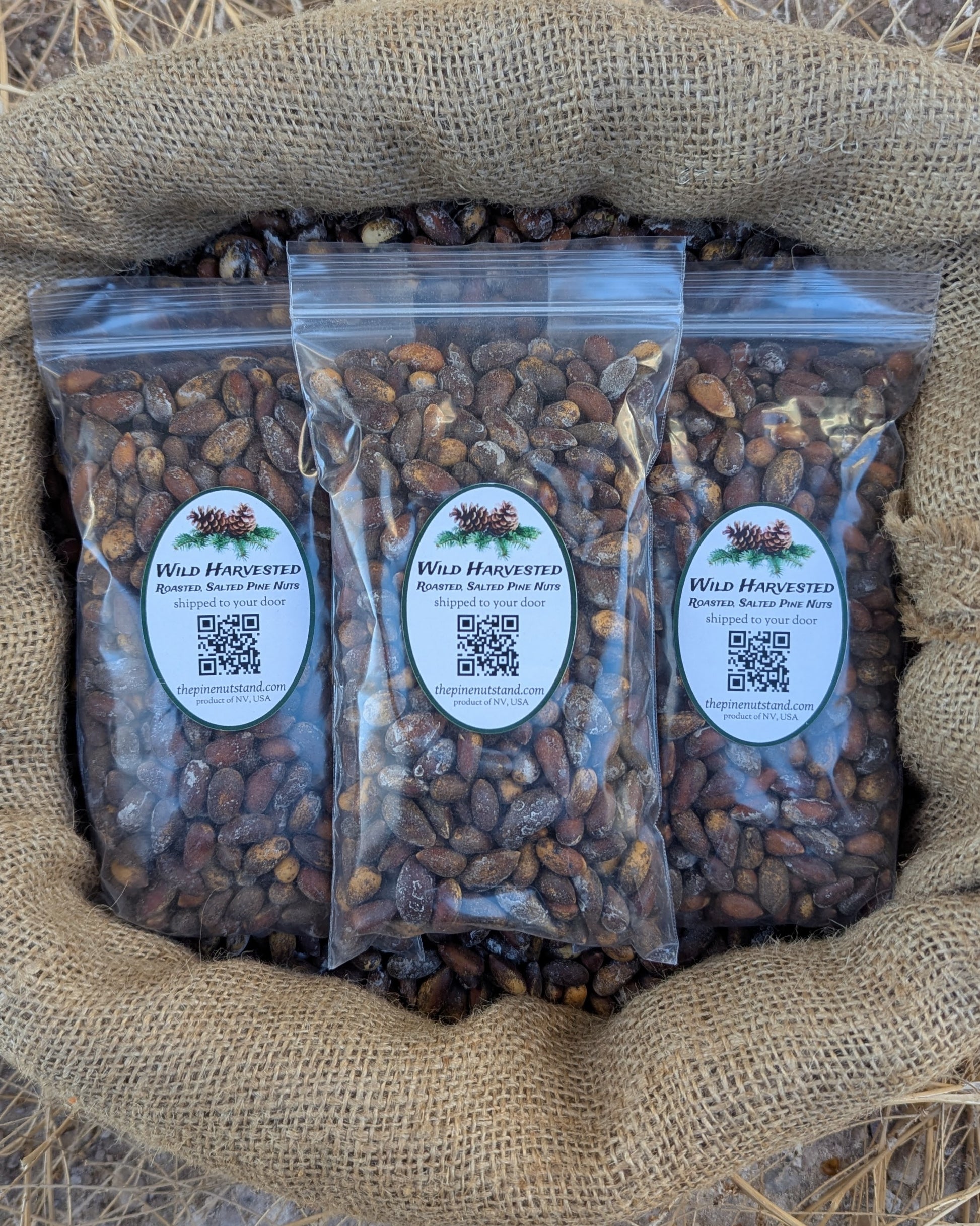 one and a half pounds (1.5 LBS) single pack 8oz bag of roasted salted utah nevada pine nut, colorado pine nuts, arizona pinenut, nevada pinenuts, california pine nuts in bulk 50 pound burlap bag (pinenut, pinenuts, pinus monophylla) wild harvested pinyon pine nuts