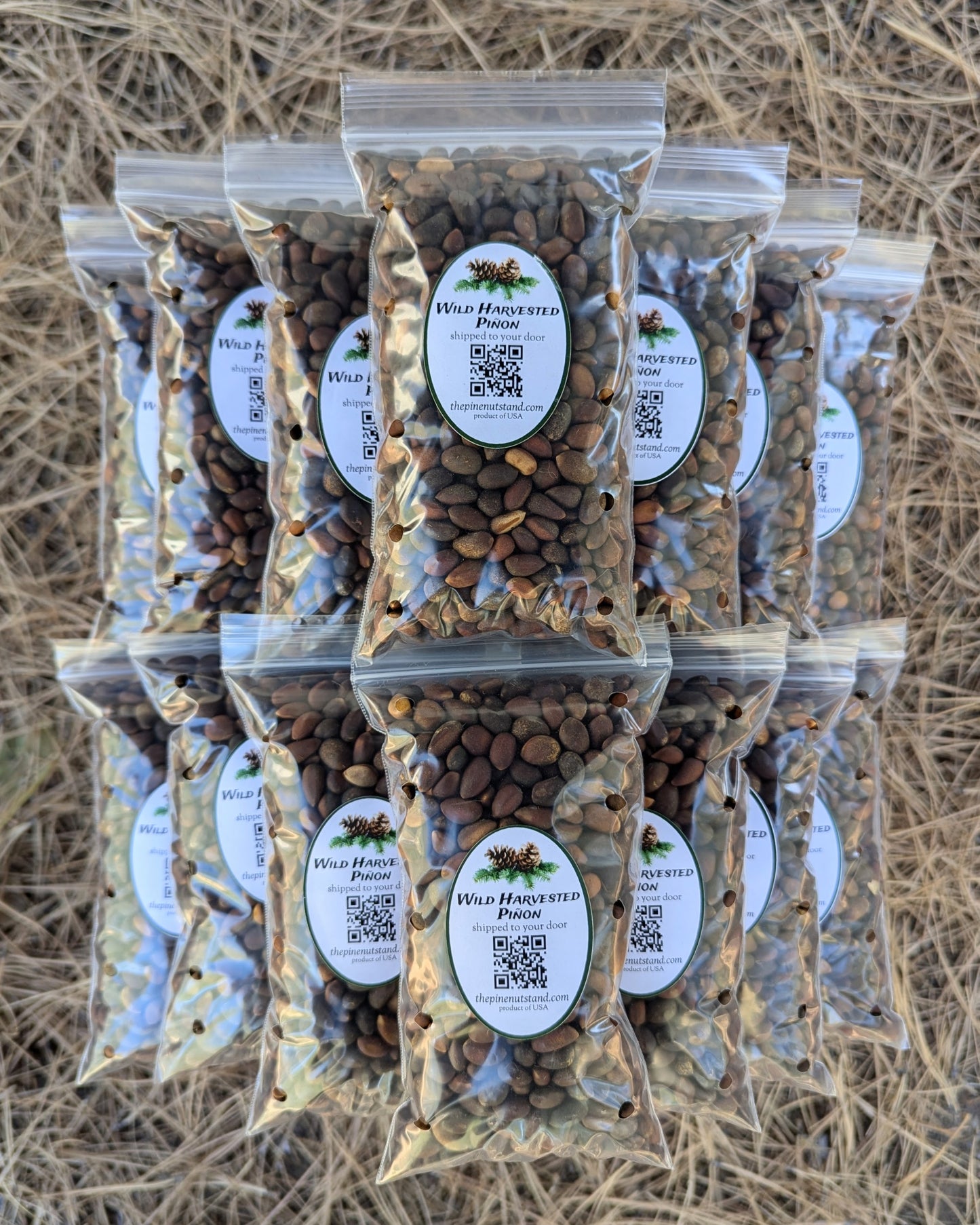 ten pounds (10lbs) single packs 8oz bags of raw utah pinion, colorado pinyon, arizona piñon, new mexico piñon in bulk quantity shipped to all fifty states and local pickup (pinyon, piñon, pinion, pinus edulis) wild harvested pinons