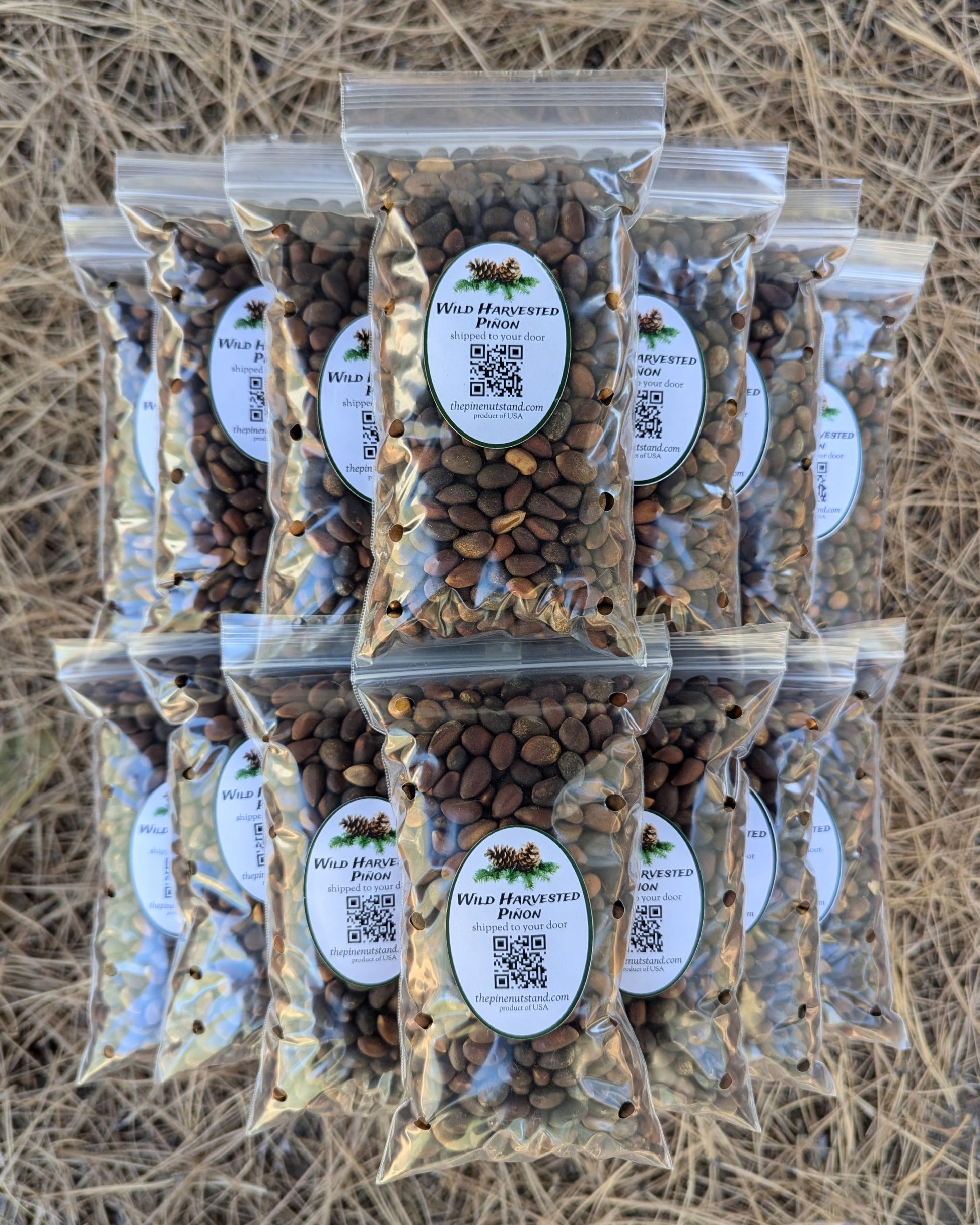 ten pounds (10lbs) single packs 8oz bags of raw utah pinion, colorado pinyon, arizona piñon, new mexico piñon in bulk quantity shipped to all fifty states and local pickup (pinyon, piñon, pinion, pinus edulis) wild harvested pinons