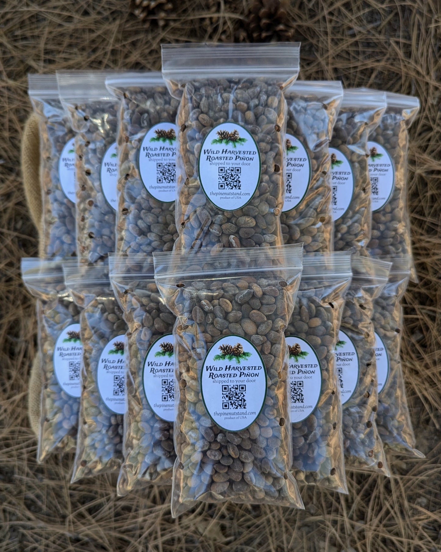 ten pounds (10lbs) single packs 8oz bags of roasted utah pinion, colorado pinyon, arizona piñon, new mexico piñon in bulk quantity shipped to all fifty states and local pickup (pinyon, piñon, pinion, pinus edulis) wild harvested roasted pinons