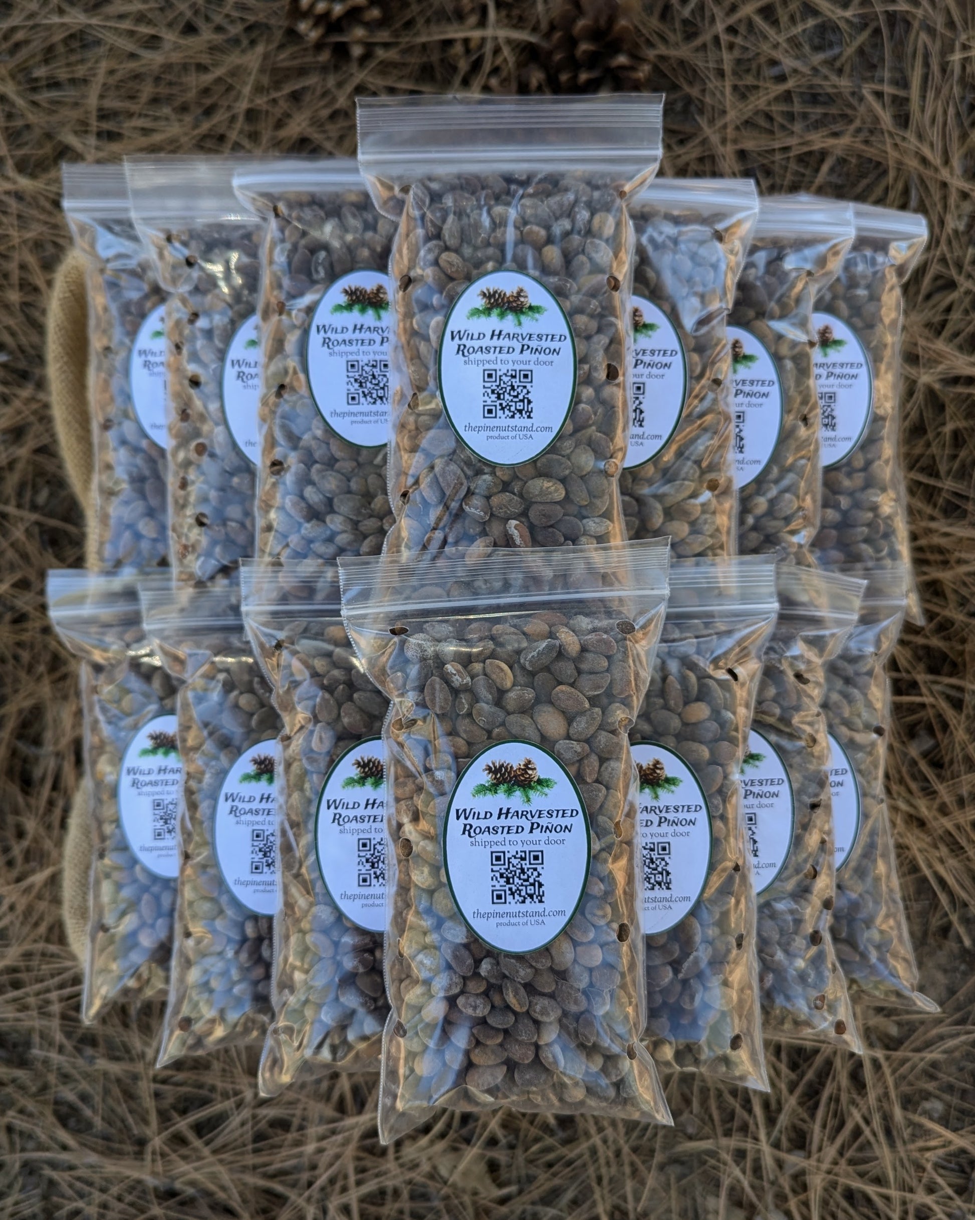 ten pounds (10lbs) single packs 8oz bags of roasted utah pinion, colorado pinyon, arizona piñon, new mexico piñon in bulk quantity shipped to all fifty states and local pickup (pinyon, piñon, pinion, pinus edulis) wild harvested roasted pinons