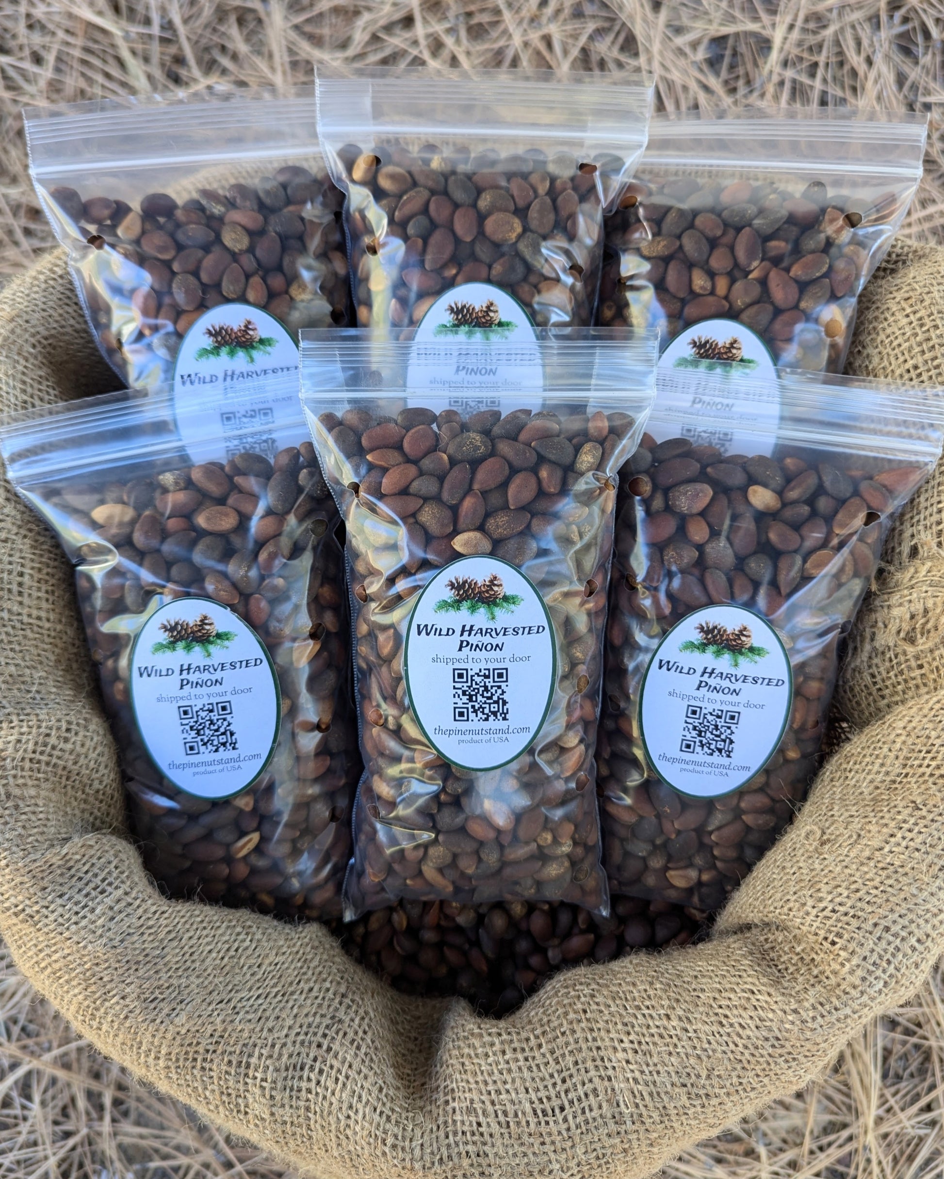 three pounds (3lbs) single packs 8oz bags of raw utah pinon, colorado pinyon, arizona pinon, new mexico pinon in bulk 50 pound burlap bag (pinion, piñon, pinyon, pinus edulis) wild harvested pinyon