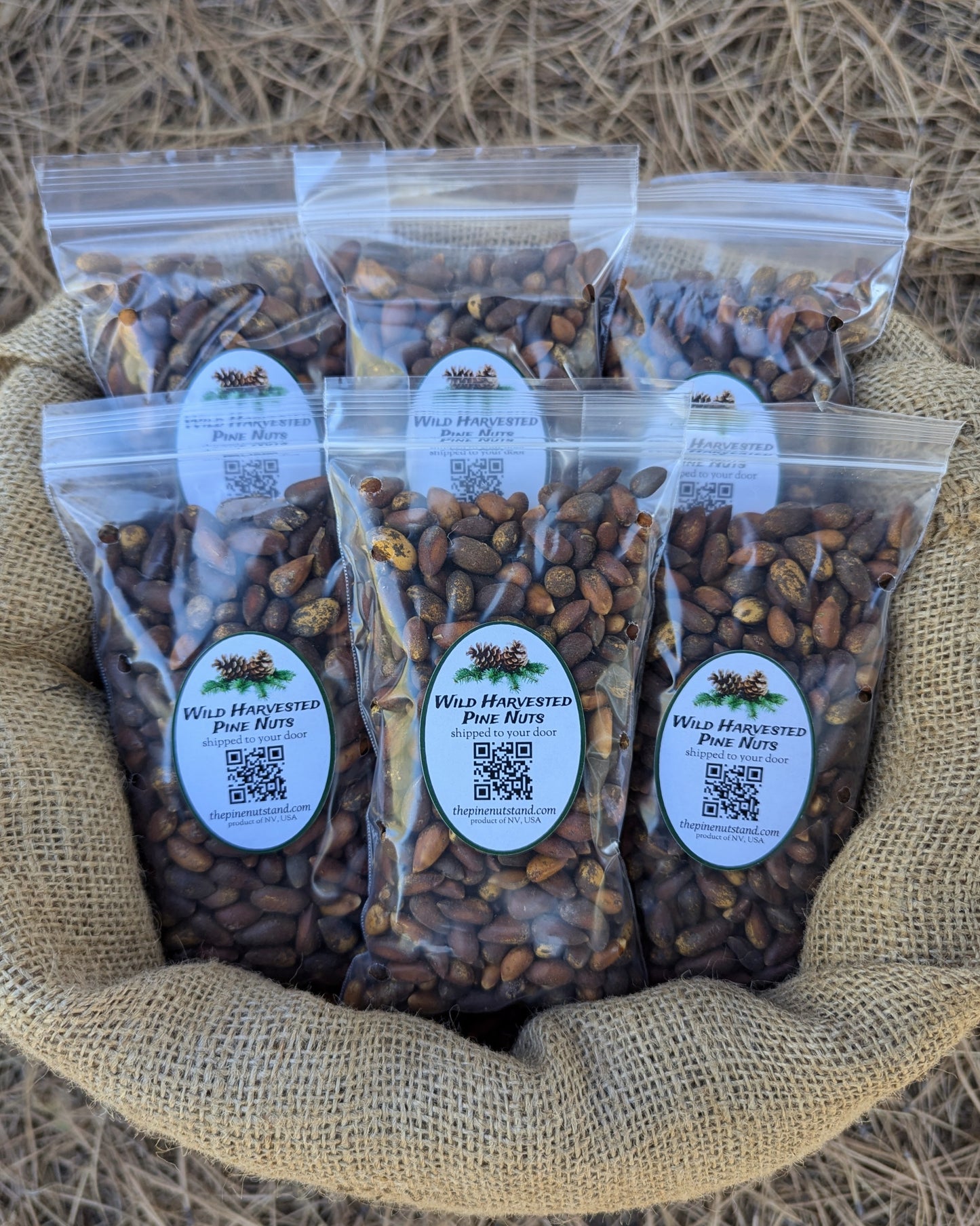 three pounds (3lbs) single packs 8oz bags of raw utah pinenut, colorado pinenuts, arizona pine nut, nevada pine nuts, california pinenuts in bulk 50 pound burlap bag (pinenut, pinenuts, pinus monophylla) wild harvested pine nuts