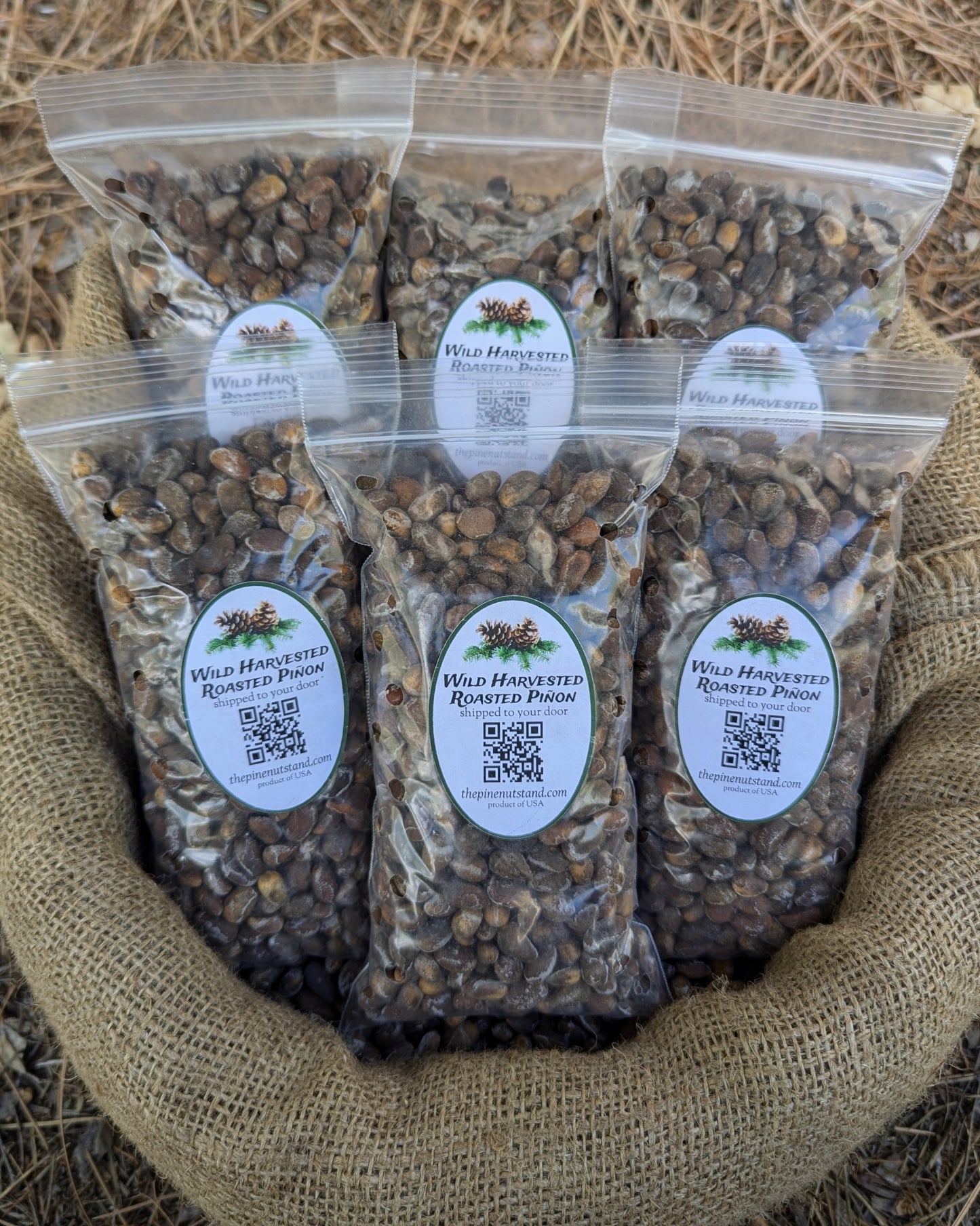 three pounds (3lbs) single packs 8oz bags of roasted utah pinon, colorado pinyon, arizona pinon, new mexico pinon in bulk 50 pound burlap bag (pinion, piñon, pinyon, pinus edulis) wild harvested roasted pinyon