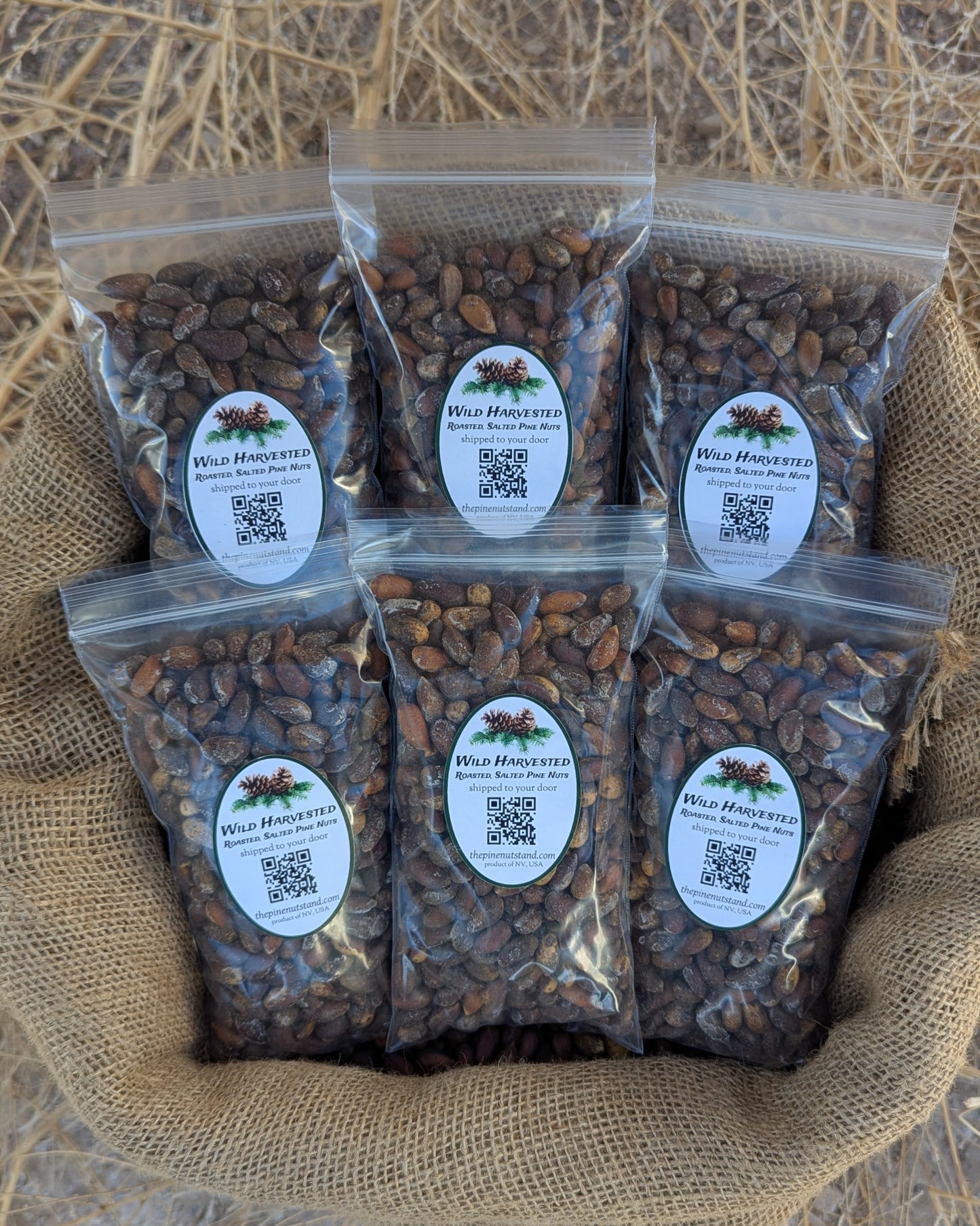 three pounds (3lbs) single packs 8 oz bags of roasted salted utah nevada pinenut, colorado pinenuts, arizona pine nut, nevada pine nuts, california pinenuts in bulk 50 pound sack (pinenut, pinenuts, pinus monophylla) wild harvested pinyon pine nuts