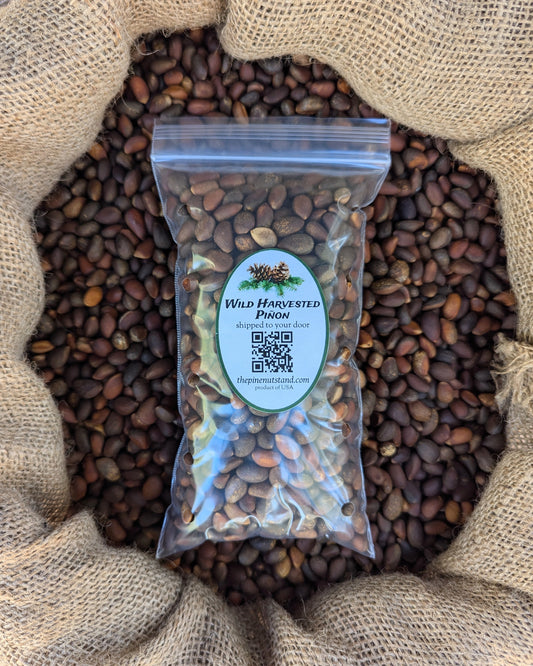 half pound single pack 8oz bag of raw pinon (utah, colorado, arizona, new mexico, piñon, pinyon, pinion, pinus edulis) wild harvested pinon