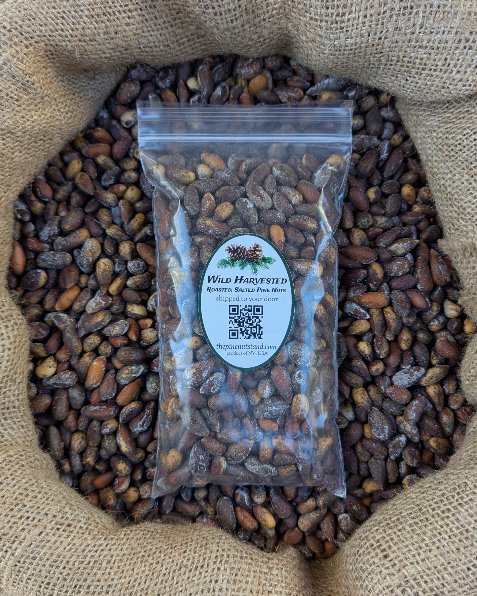 half pound single pack 8oz bag of roasted salted utah nevada pine nuts (utah, colorado, arizona, nevada, california, pinenut, pinenuts, pinus monophylla) wild harvested pinyon pine pine nuts