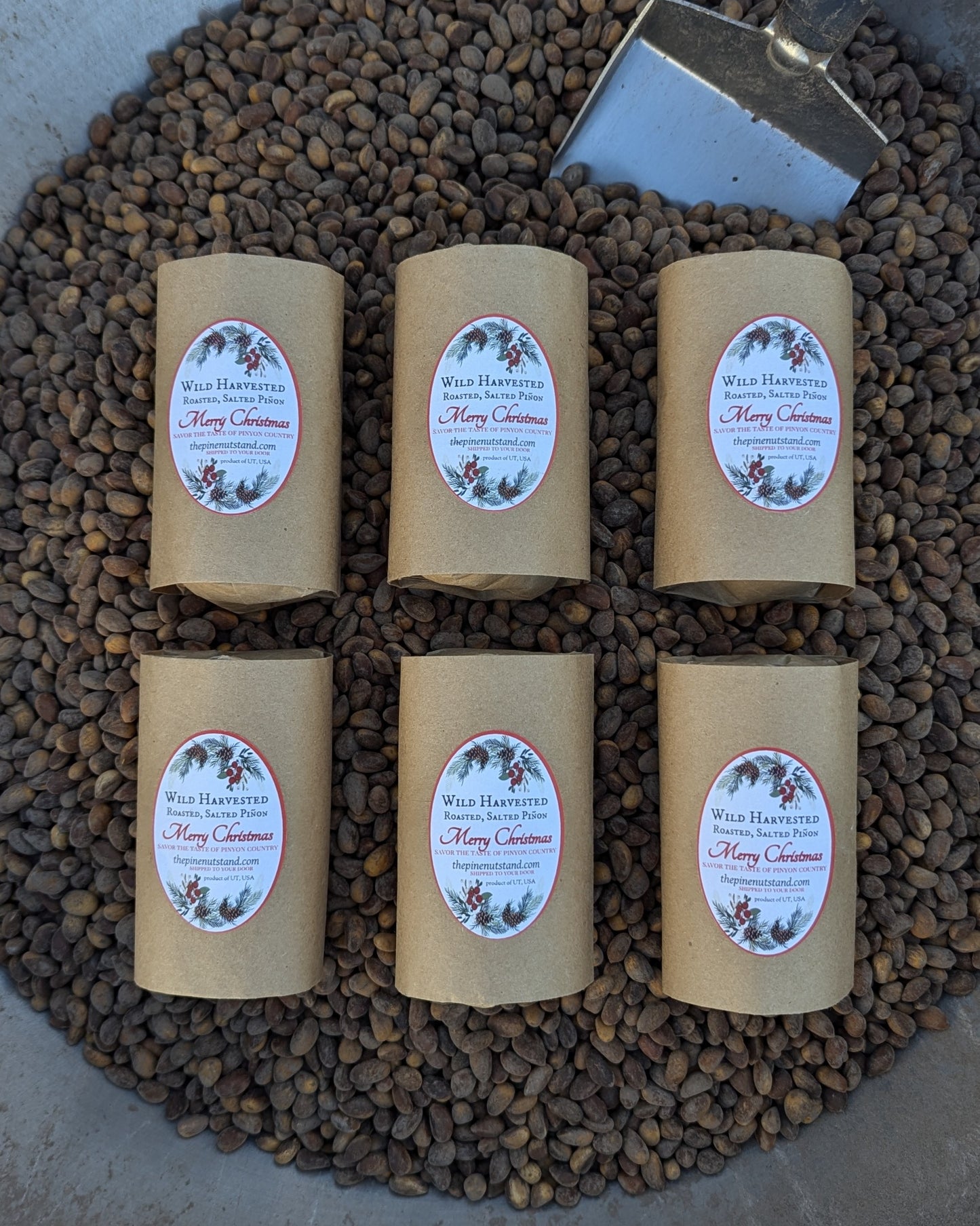six stocking stuffer packs roasted and salted pinon, pinus edulis, pinion, pinyon, colorado, arizona, new mexico, 2024 holiday christmas presents stocking stuffers