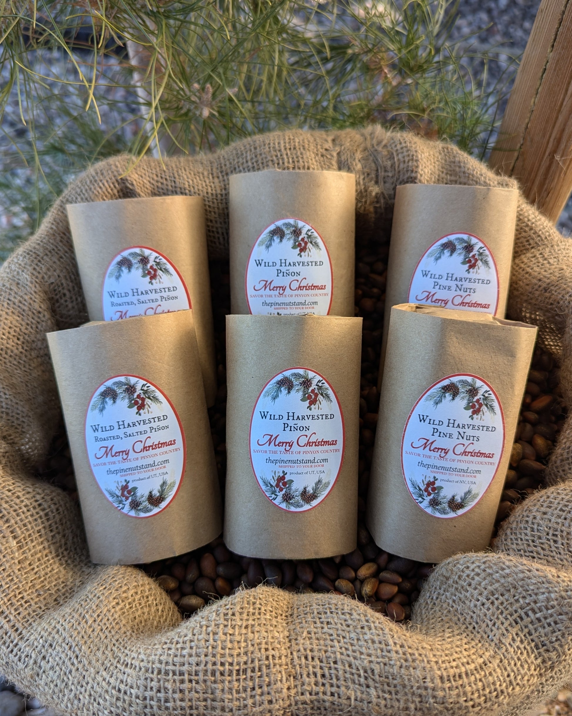 six pack variety pack of roasted and salted pinon, raw pinon, soft shell pine nuts in our holiday 2024 christmas packaging in stocking stuffer variety.