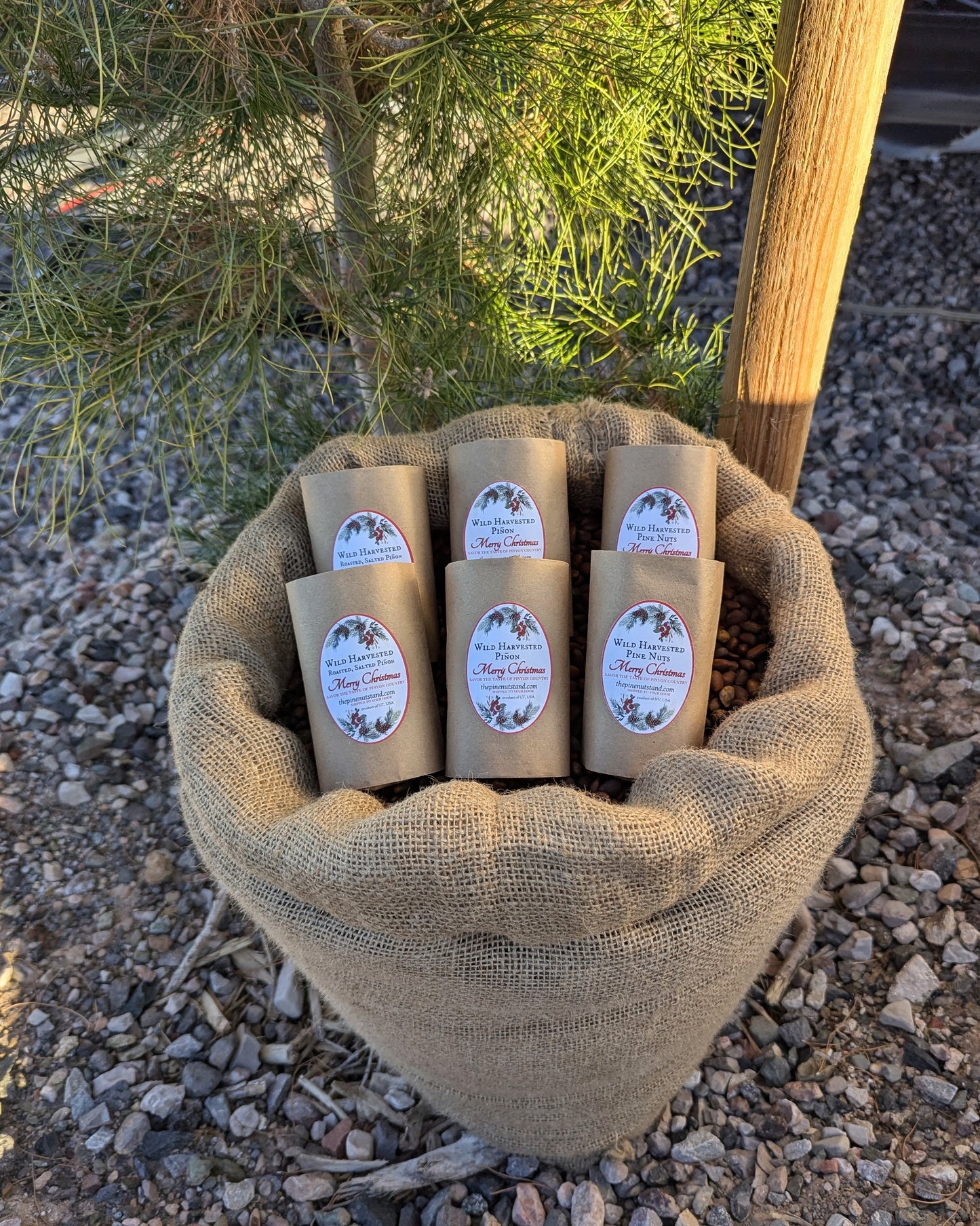 Bulk sack under coniferous with 2024 holiday packaging stocking stuffers variety pack pine nuts and roasted and raw pinon Christmas stocking stuffers.
